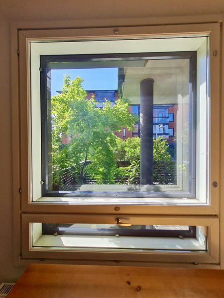 Window View